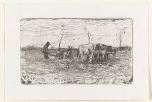 Plowing Oxen