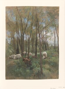 Flock of Sheep in a Forest