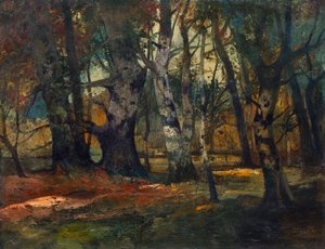 Autumn Forest