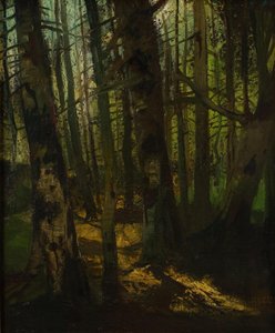 Forest Clearing