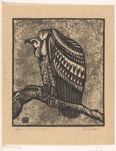 Vulture