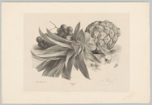 Pineapple and Grapes