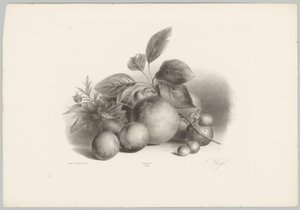 Flowers, Nectarines, and Hazelnuts by Anton Weiss