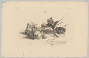 Roses by Anton Weiss