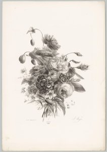 Roses and Other Flowers (Flower and Fruit Studies, 10th Issue)