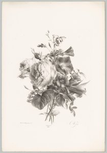 Roses and Cup-shaped Flowers (Flower and Fruit Studies, 10th installment)