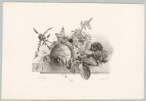 Roses, Lilies, Bell-shaped Flowers, and Butterfly (Flower and Fruit Studies, 10th Issue) by Anton Weiss