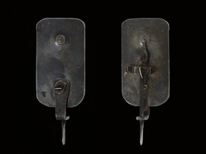 Microscope, c.1690 by Antoni van Leeuwenhoek
