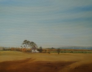 House and Fields by Antonia Myatt