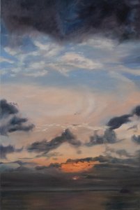 Salmon Clouds, 2011