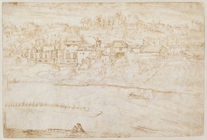 View of the Janiculum Hill Seen from the Tiber by Antonie van den Wyngaerde
