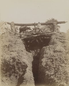 Sehaquieh, Egypt by Antonio Beato