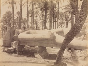Statue of Ramesses at Saqqara by Antonio Beato