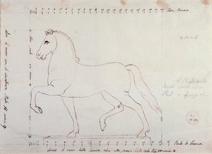 Study for a horse for an equestrian monument by Antonio Canova