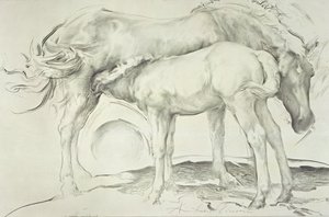 Horses at Coolmore, 1990 by Antonio Ciccone