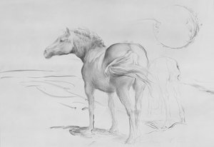 Horses at Coolmore, 1990