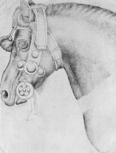 Head of a horse, from the The Vallardi Album by Antonio Pisanello