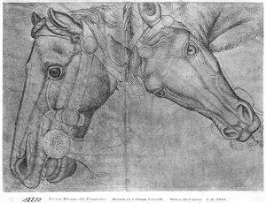 Heads of Horses, from the Vallardi Album by Antonio Pisanello