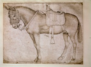 Mule Harness. Drawing by Antonio Pisano dit il Pisanello by Antonio Pisanello