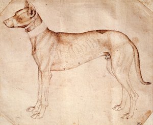 Study of hunt dog