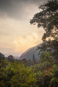 Serra dos Órgãos VIII, Petrópolis, Rio de Janeiro, Brazil, 2025 by Antonio Schubert