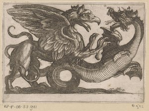 Dragon and Griffin Fighting