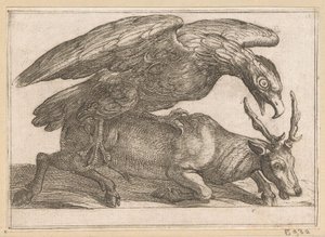 A Large Bird Attacks a Deer by Antonio Tempesta