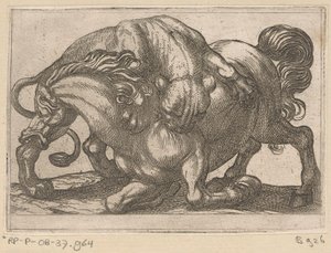 A Lioness Attacking a Horse