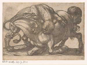 Lioness Attacking a Horse (Fighting Animals)