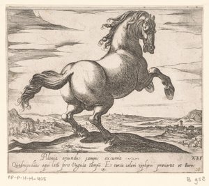 Rearing Horse Facing Right (series title: Horses from Different Countries)