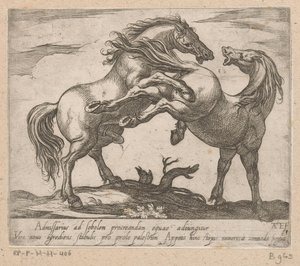 Two Mating Horses (Horses from Different Countries)