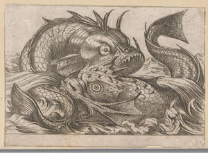 Two Fighting Fish (Fighting Animals)