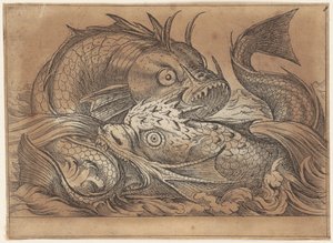Two Fighting Fish by Antonio Tempesta