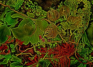 Otherworld - The Field, 2025