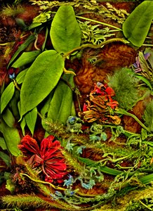 Anderswelten No.2, 2025