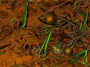 Earthart No.2, 2014 by Antonius Antonius