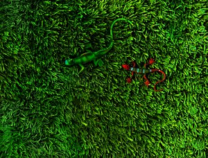 Grass-4, 2014 by Antonius Antonius