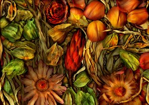 Magic Garden-Jungle 3, 2013