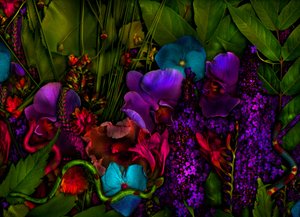 Magic Garden No.27-3, 2011 by Antonius Antonius