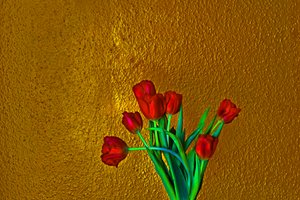 Tulips, 2014 by Antonius Antonius