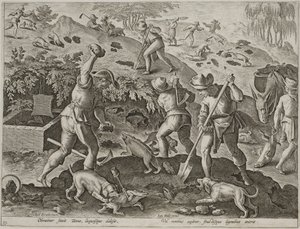 Badger Hunt