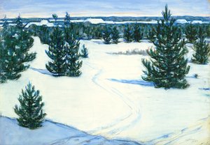 Winter Landscape