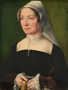 Wife of a Member of the de Hondecoeter Family by Antwerp 16th Century