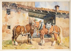 Horses