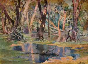 Quindanning Pool by Archibald Bertram Webb