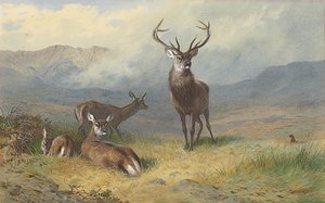 Monarch of the Glen