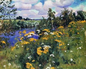 Field tansies, 1922
