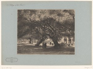 Oak Trees Near the Church of Cimiez (Landscapes with Villages and Forests) by Armand Theophile Cassagne