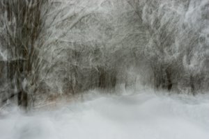 Dreamy Snowy Path von Arne Östlund