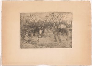 Meadow with trees and cows